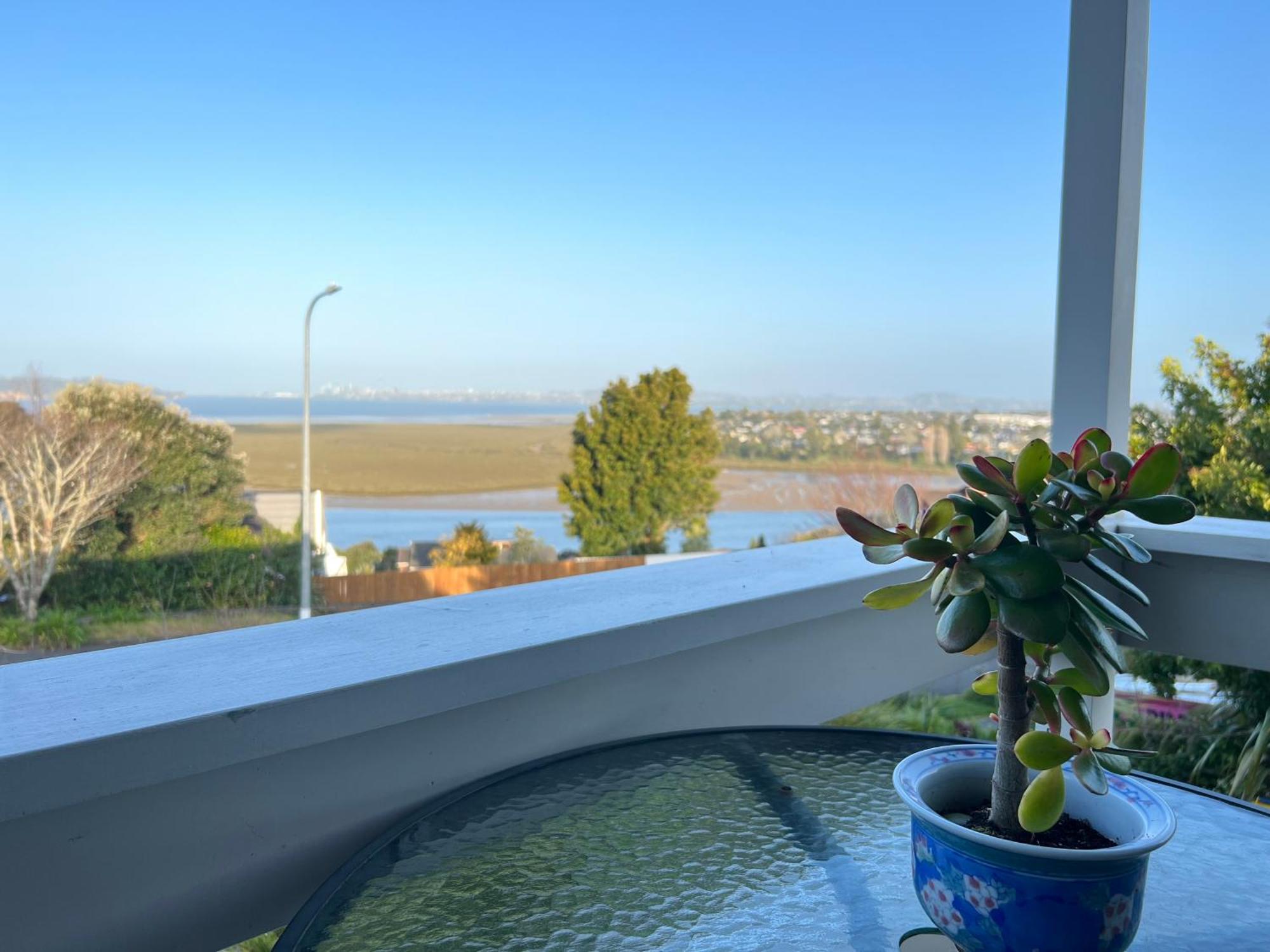 Auckland Sea&Skytower View Homestay With Free Netflix, Parking 外观 照片